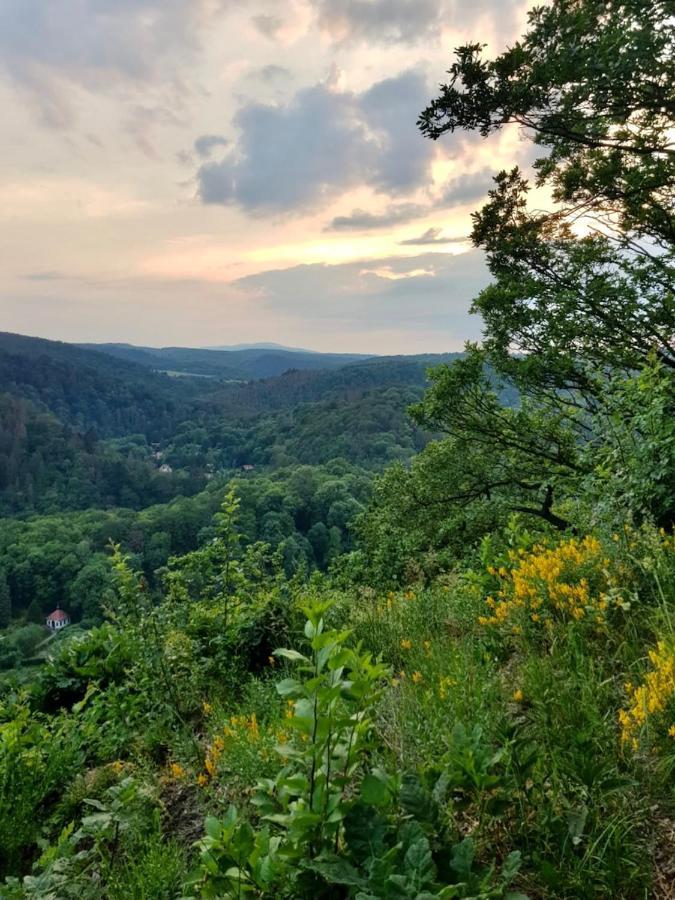 Bergcafe Mendorf Apartment Treseburg Екстериор снимка